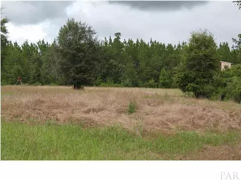 4401 Hwy 97 A, Mcdavid, FL 32568 photo 19