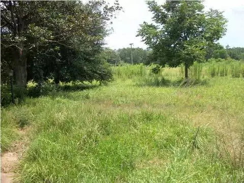 555 Cedar Tree Ln, Cantonment, FL 32533 photo 14