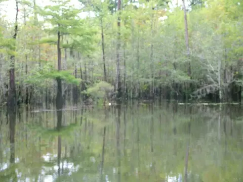 8450 Edith Ave, Milton, FL 32570 photo 18