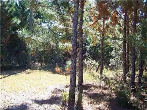 4260 Coachman Rd, Milton, FL 32583 photo 5