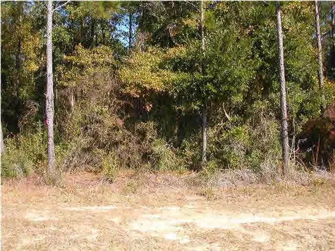4286 Willard Norris Rd, Pace, FL 32571 photo 2