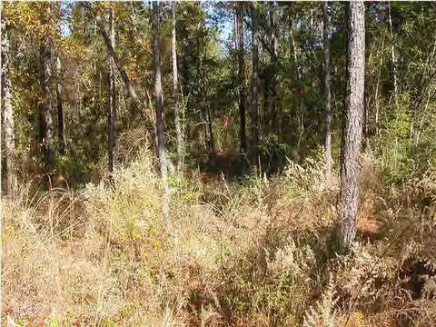 4286 Willard Norris Rd, Pace, FL 32571 photo 5