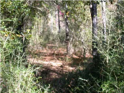 4286 Willard Norris Rd, Pace, FL 32571 photo 4