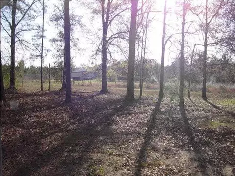 5044 Iva Rd, Jay, FL 32565 photo 9