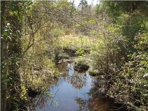 4066 Coachman Rd, Milton, FL 32583 photo 7