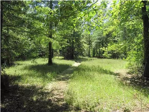 3107 Apache Dr, Pace, FL 32571 photo 24