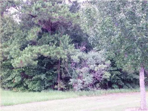 5100 Blk Hwy 97, Mcdavid, FL 32568 photo 4