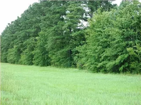5100 Blk Hwy 97, Mcdavid, FL 32568 photo 9