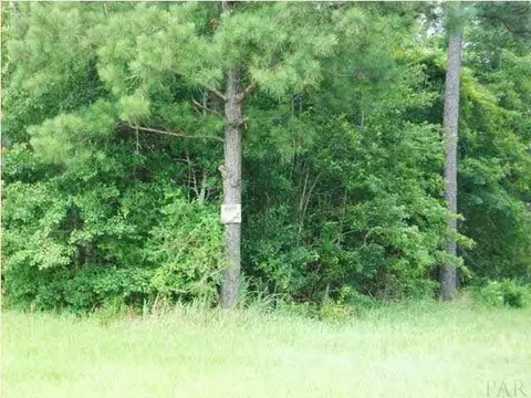 5100 Blk Hwy 97, Mcdavid, FL 32568 photo 8