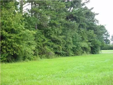 5100 Blk Hwy 97, Mcdavid, FL 32568 photo 7