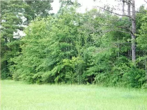 5100 Blk Hwy 97, Mcdavid, FL 32568 photo 6