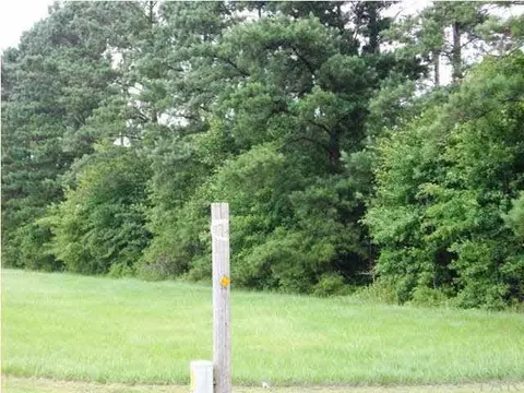 5100 Blk Hwy 97, Mcdavid, FL 32568 photo 3