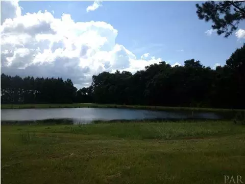 3891 Howell Rd, Mcdavid, FL 32568 photo 12