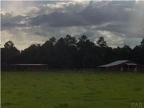 3891 Howell Rd, Mcdavid, FL 32568 photo 14