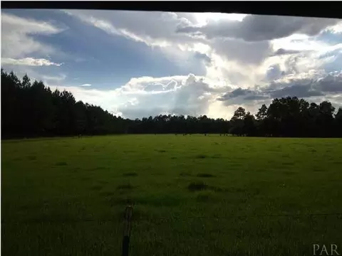 3891 Howell Rd, Mcdavid, FL 32568 photo 16