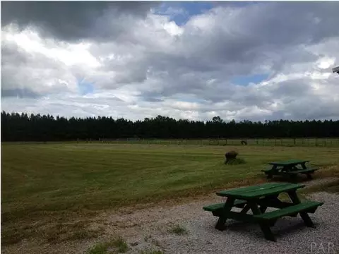 3891 Howell Rd, Mcdavid, FL 32568 photo 13