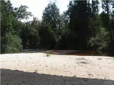 2732 Wolf Log Rd, Flomaton, AL 36441 photo 14