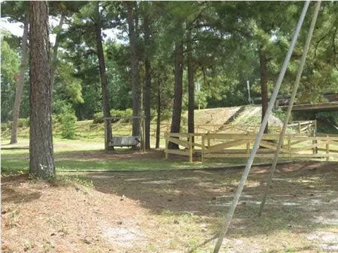 2732 Wolf Log Rd, Flomaton, AL 36441 photo 21