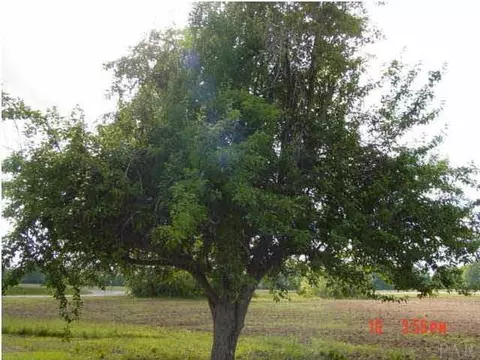 4766 Dans Trl, Jay, FL 32565 photo 9