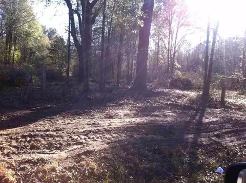 2392 Bud Diamond Rd, Jay, FL 32565 photo 2