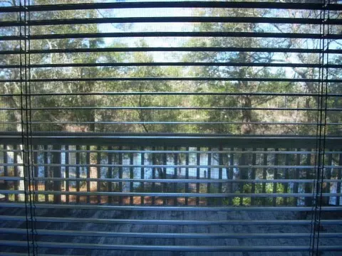 7640 River Rd, Milton, FL 32583 photo 35