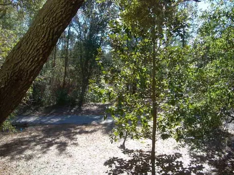 7640 River Rd, Milton, FL 32583 photo 7