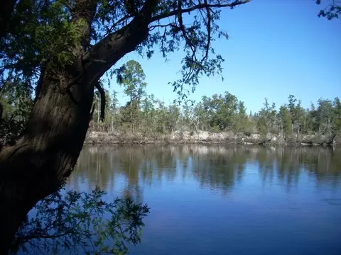 7640 River Rd, Milton, FL 32583 photo 18
