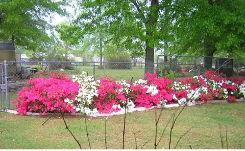3901 Schifko Rd, Cantonment, FL 32533 photo 5