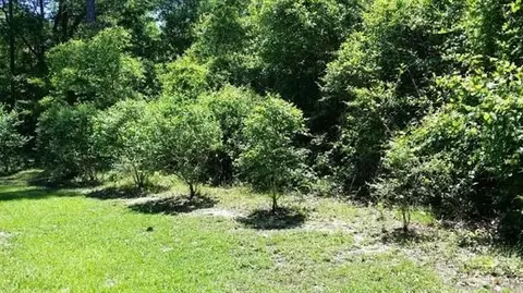 6673 Emerald Forest Dr, Milton, FL 32570 photo 28