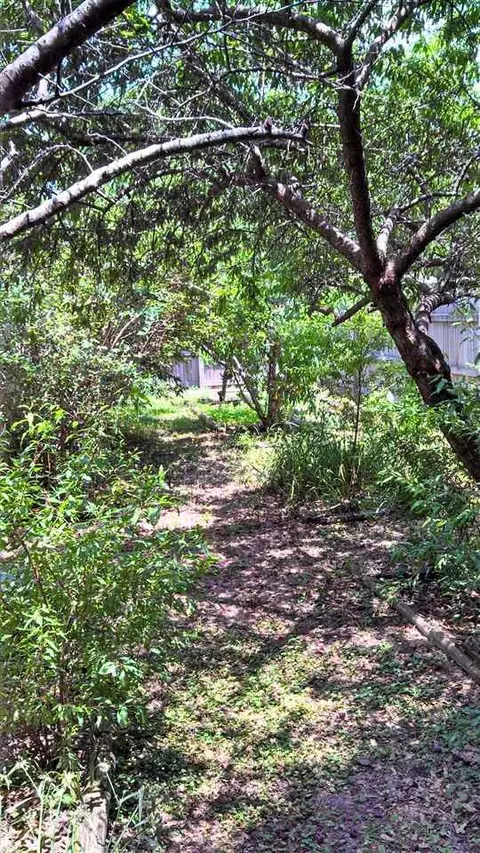4209 Breezeway Cir, Milton, FL 32583 photo 4