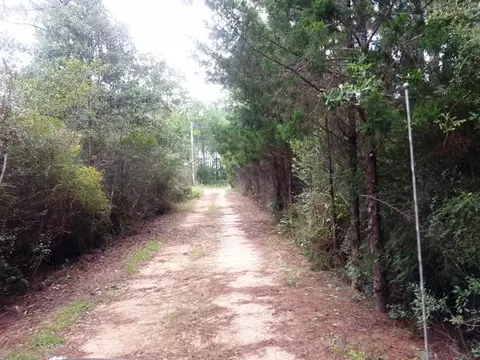 6315 Hideaway Trl, Milton, FL 32583 photo 24