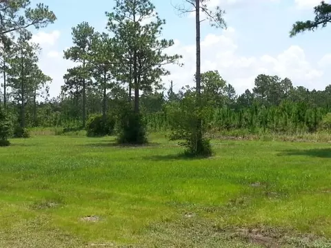 Undisclosed, Milton, FL 32583 photo 5