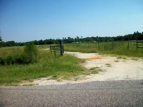 26451 Frank Rd, Elberta, AL 36530 photo 7