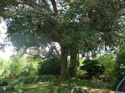 4300 Coachman Rd, Milton, FL 32583 photo 24