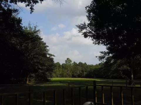 3010 Timber Run Ln, Jay, FL 32565 photo 9