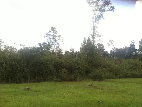 1700 Cedar Point Rd, Cantonment, FL 32533 photo 2