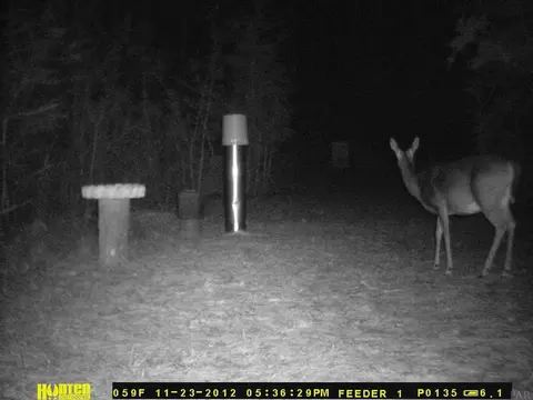 6804 Oser Rd, Milton, FL 32570 photo 45