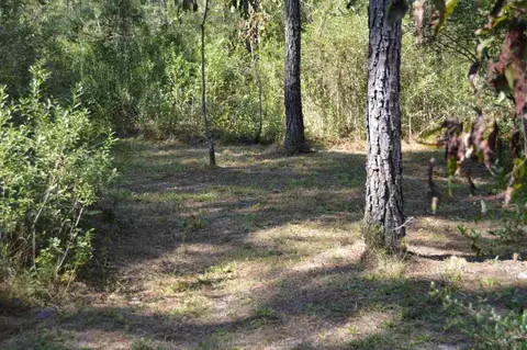 6804 Oser Rd, Milton, FL 32570 photo 34