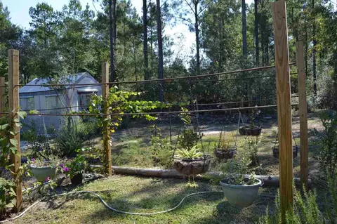 6804 Oser Rd, Milton, FL 32570 photo 30