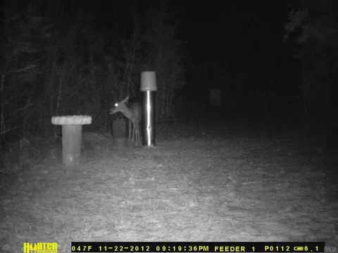 6804 Oser Rd, Milton, FL 32570 photo 43