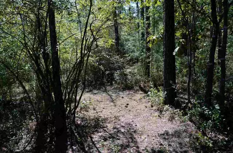 6804 Oser Rd, Milton, FL 32570 photo 35