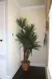 6073 Brighton Ln, Milton, FL 32570 photo 9