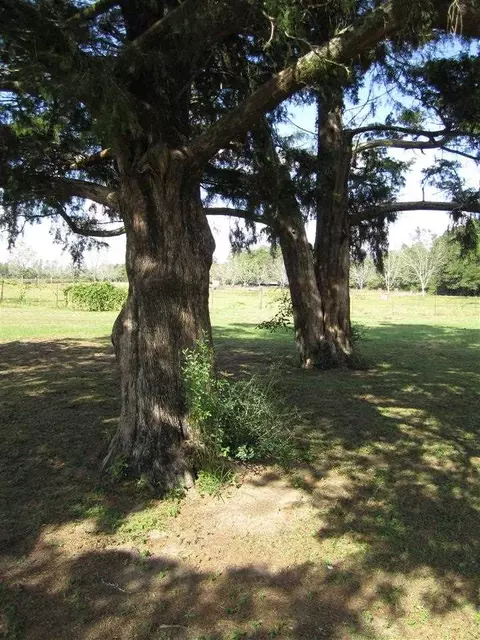 2474 Hwy 182, Jay, FL 32565 photo 42