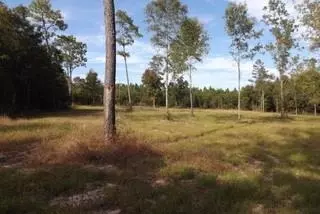 7771 Sowell Rd, Milton, FL 32570 photo 5