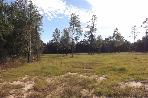 7771 Sowell Rd, Milton, FL 32570 photo 1