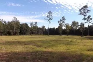 7771 Sowell Rd, Milton, FL 32570 photo 3