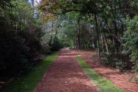1561 Jacks Branch Rd, Cantonment, FL 32533 photo 5