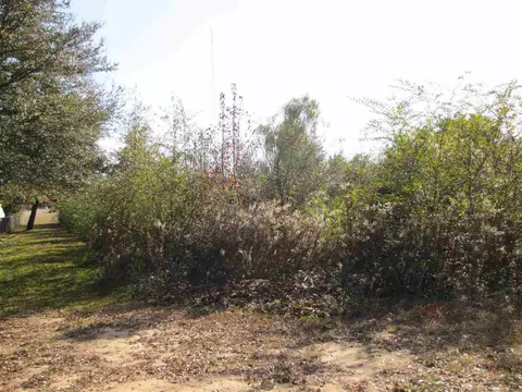 3101 Whitley Ln, Pace, FL 32571 photo 2