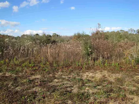3101 Whitley Ln, Pace, FL 32571 photo 6