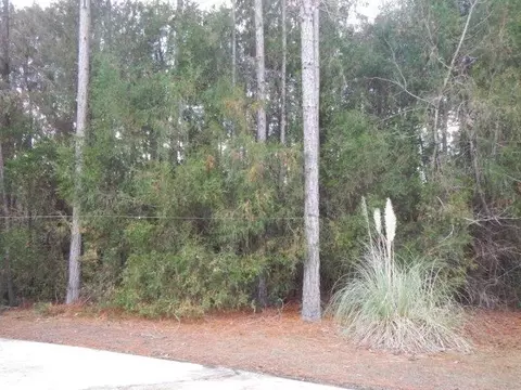 24952 Pompano Dr, Elberta, AL 36530 photo 9